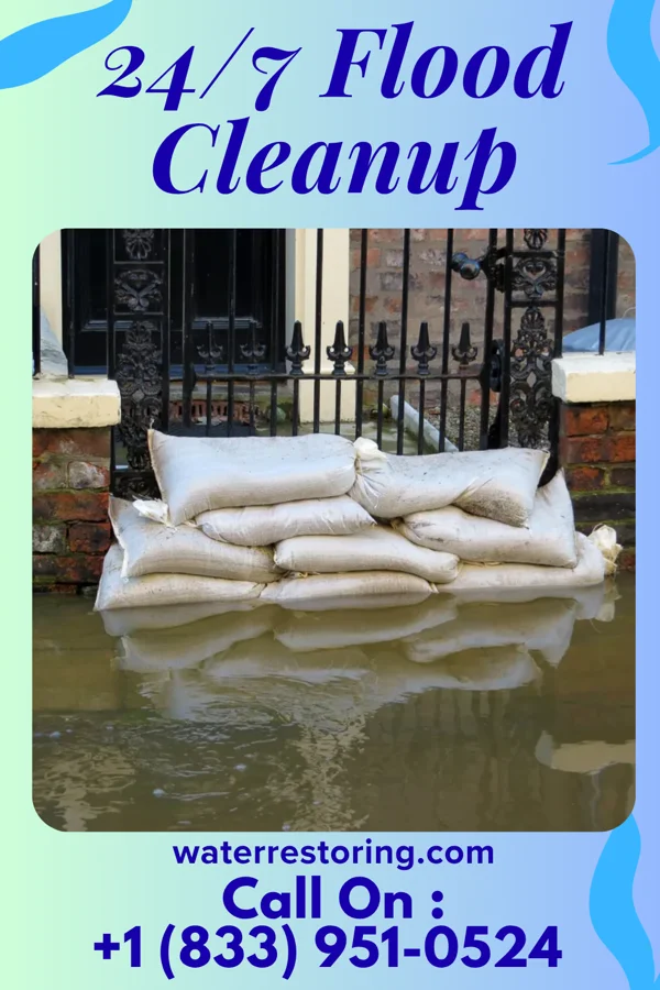 24/7 Flood Cleanup in East Palestine, OH