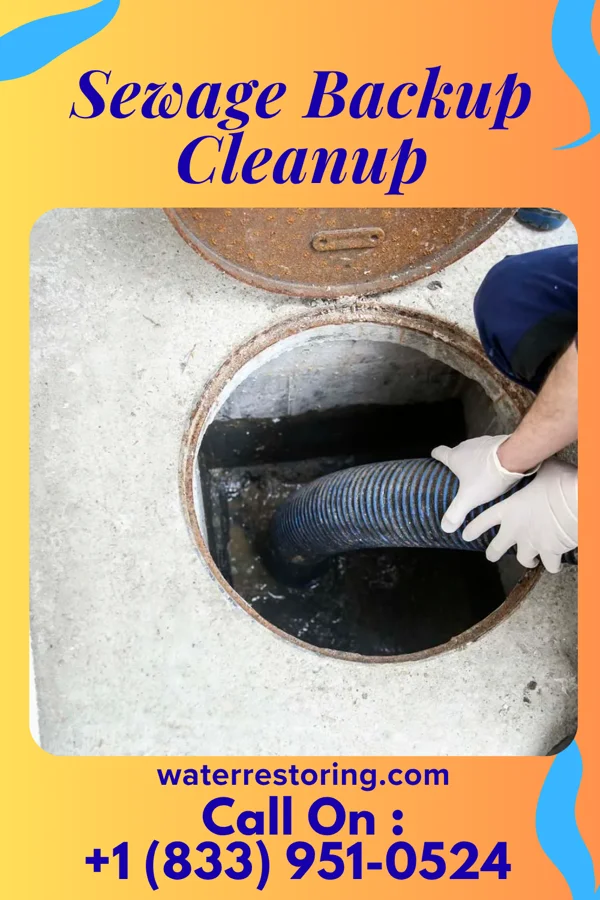 Sewage Backup Cleanup in East Palestine, OH