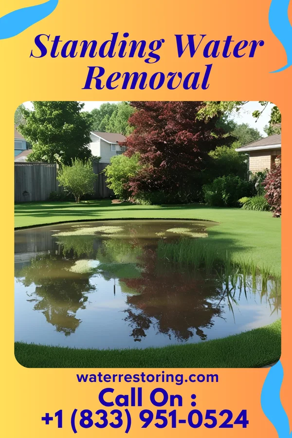 Standing Water Removal in East Palestine, OH